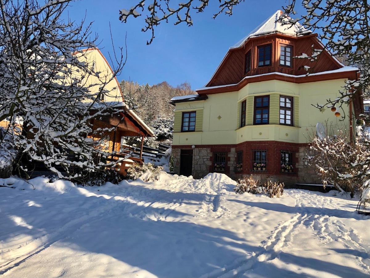 Chalupa Sunny Cottage Svoboda nad Úpou Buitenkant foto